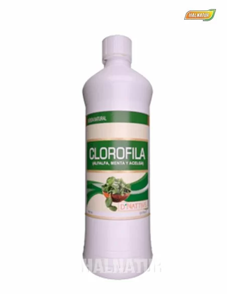 Clorofila bebida 500ml dnativa