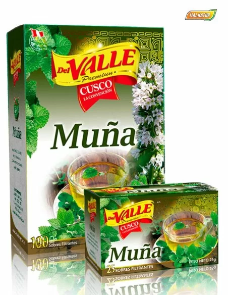 Muña del valle filtrantes infusión