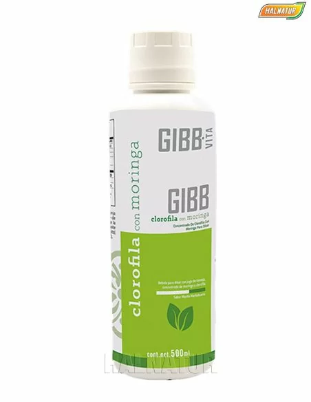 Clorofila con moringa gibb