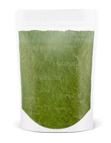 Te matcha polvo importado halnatur
