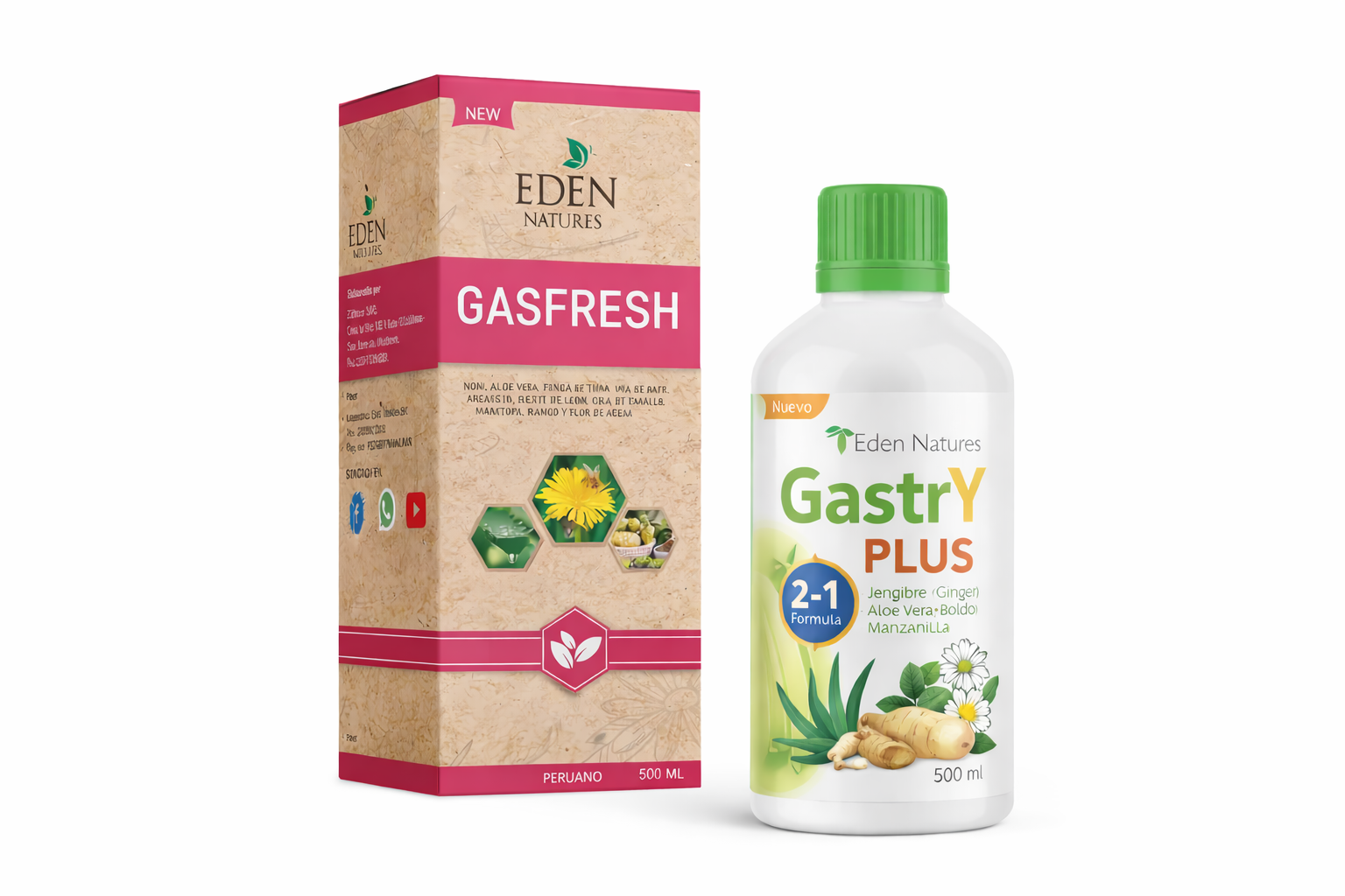 GASFRES 500 ML EXTRACTO CONTRA LA GASTRITIS