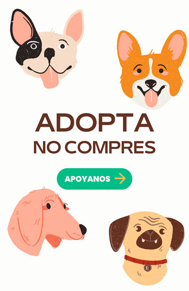 poster adopcion de perros gratis