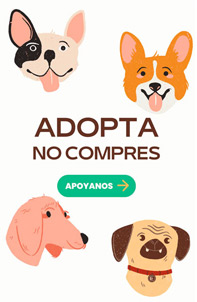poster adopcion de perros gratis